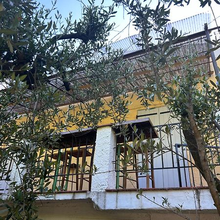 Bastide Des Hesperides Apartment Flayosc Ngoại thất bức ảnh
